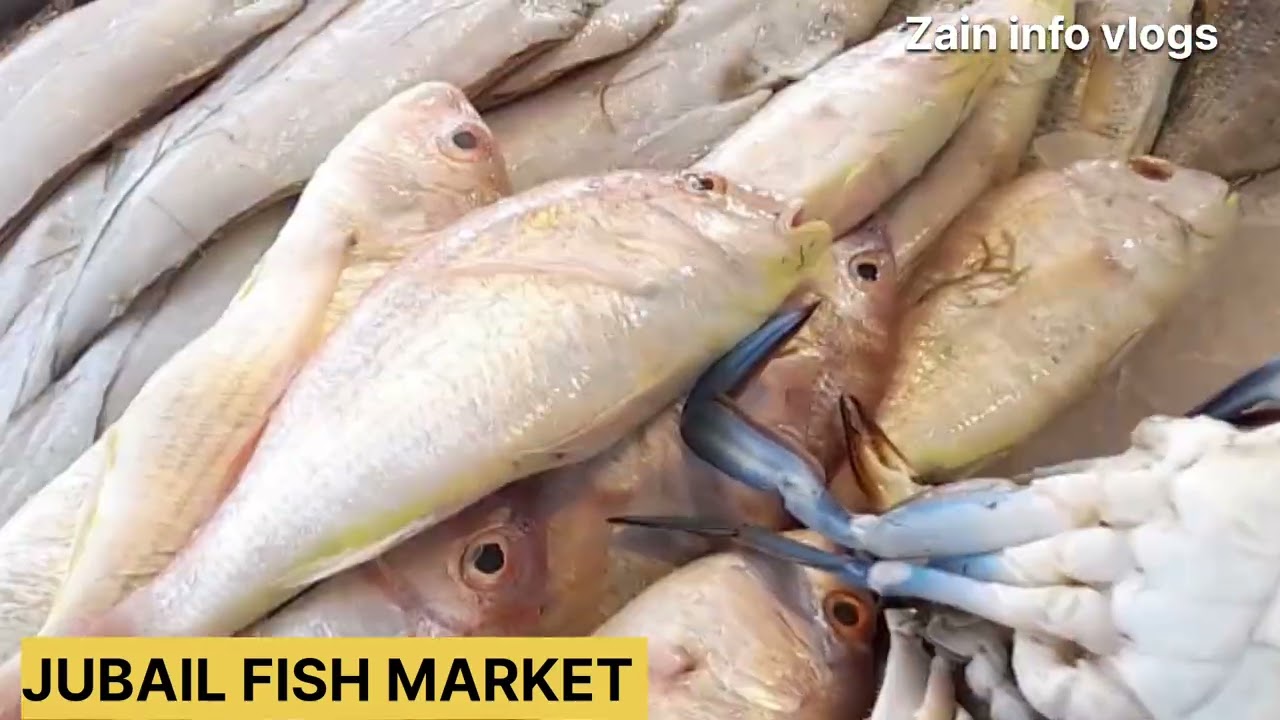 FISH MARKET JUBAIL | #pardesi #Gulflife #SaudiArabia 