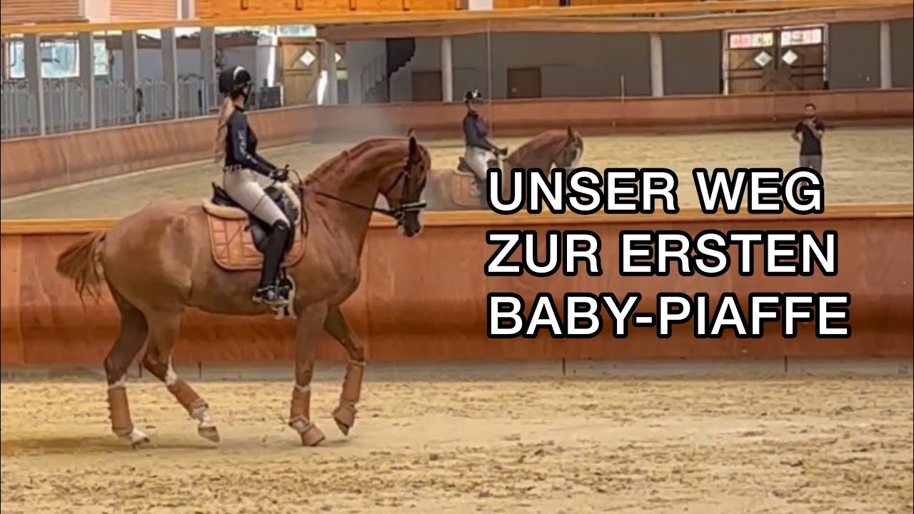 Handarbeit Bodenarbeit für die Piaffe & Passage / Dressurpferde ausbilden / Inleobo