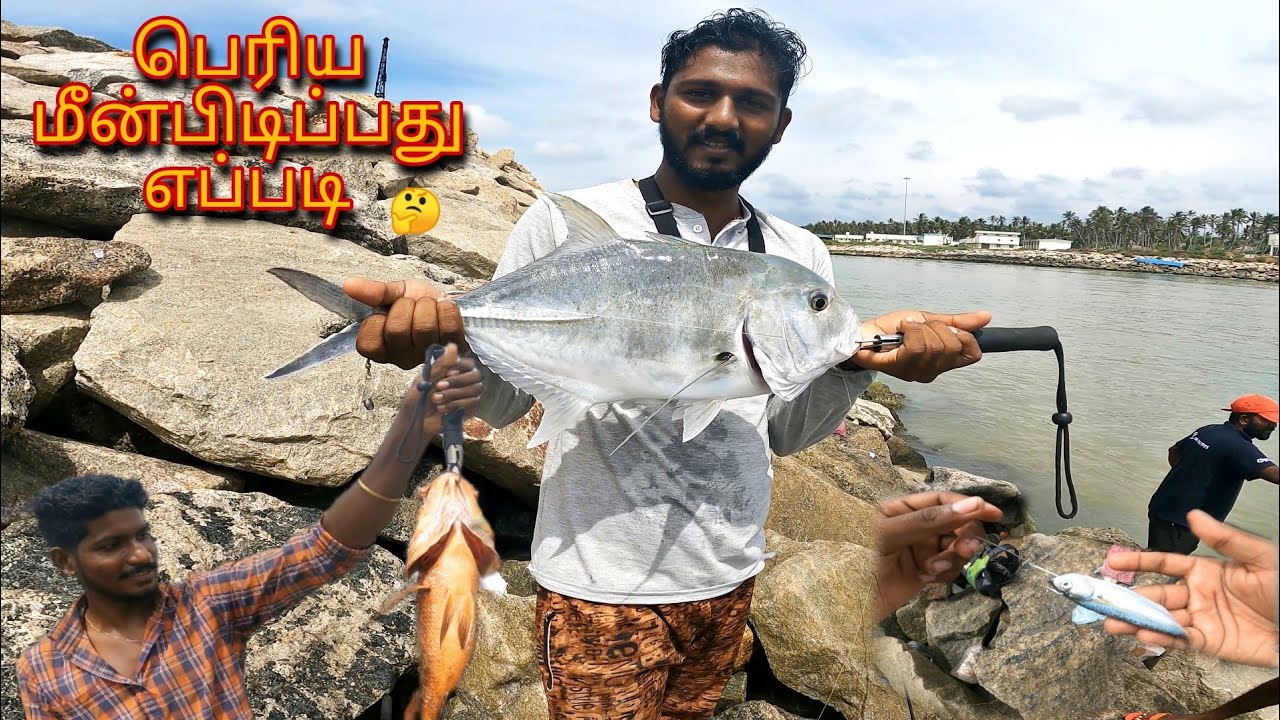 Monster Mangrove Jack Fishing | how to use Dead Bite for  Fishing|Back to Back | @jrsafishing