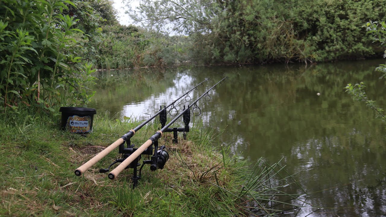 CARP FISHING Short Day Session Success