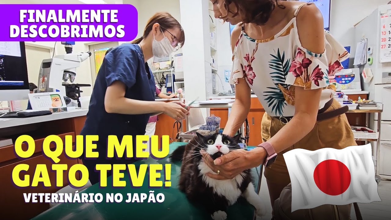 FECHAMOS O DIAGNÓSTICO DO SHERLOCK| INDO AO VETERINÁRIO NO JAPÃO! | ABRE A JANELA