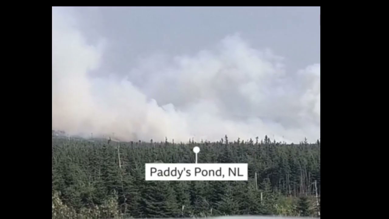 The 2025 wildfire season has become the second-worst on record, surpassing the 2023 season.@BBC 