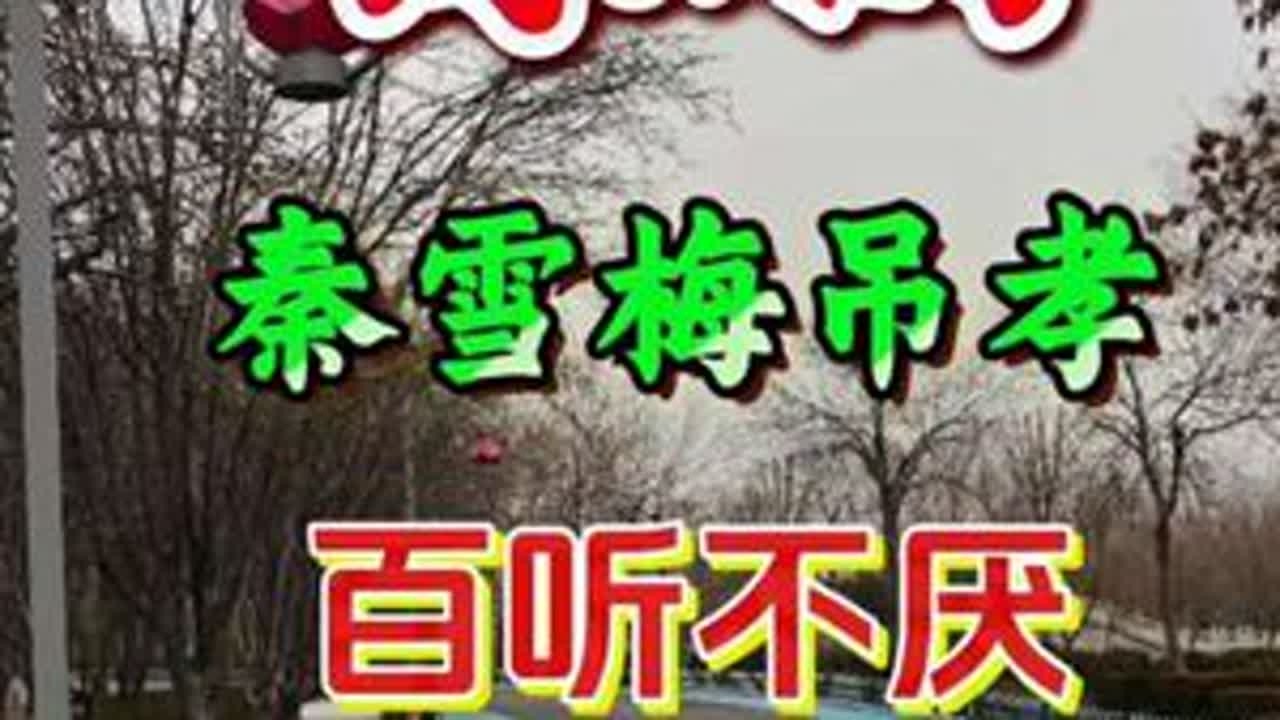 #豫剧#百听不厌 #传递戏曲文化 #戏迷抖起来 #谁说戏曲不抖音