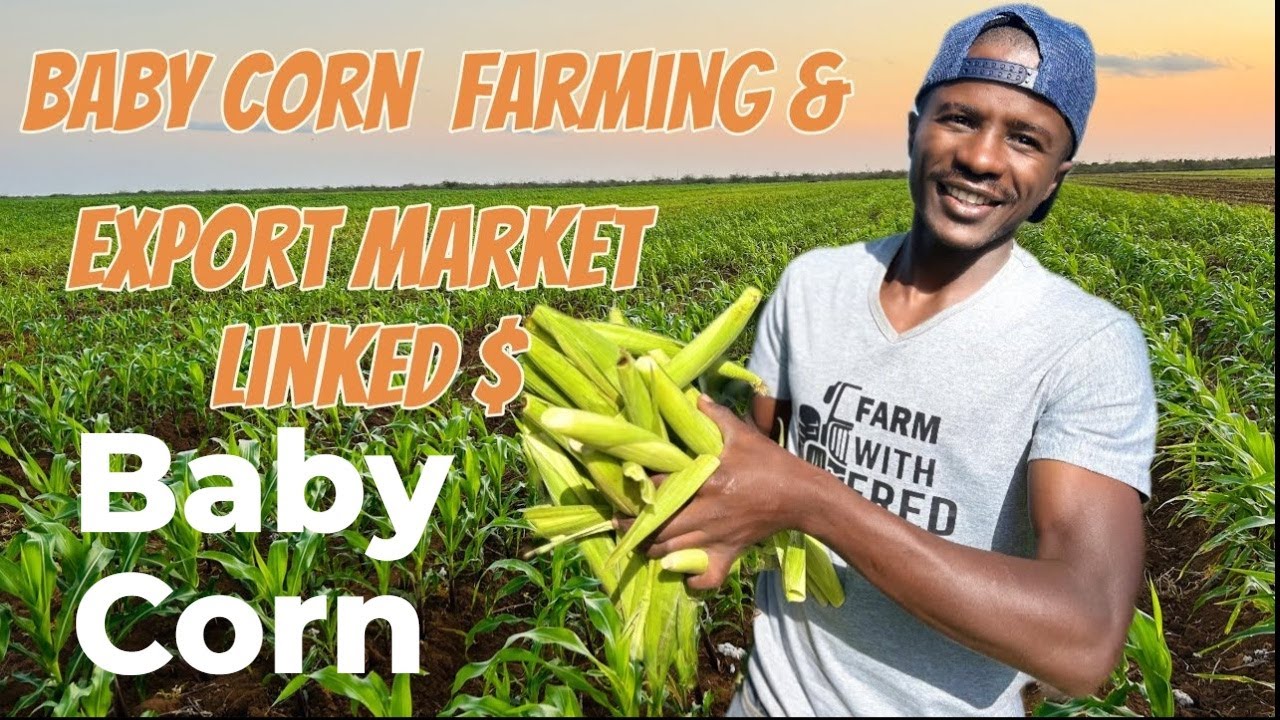 The Tiny Crop That's Worth A Fortune