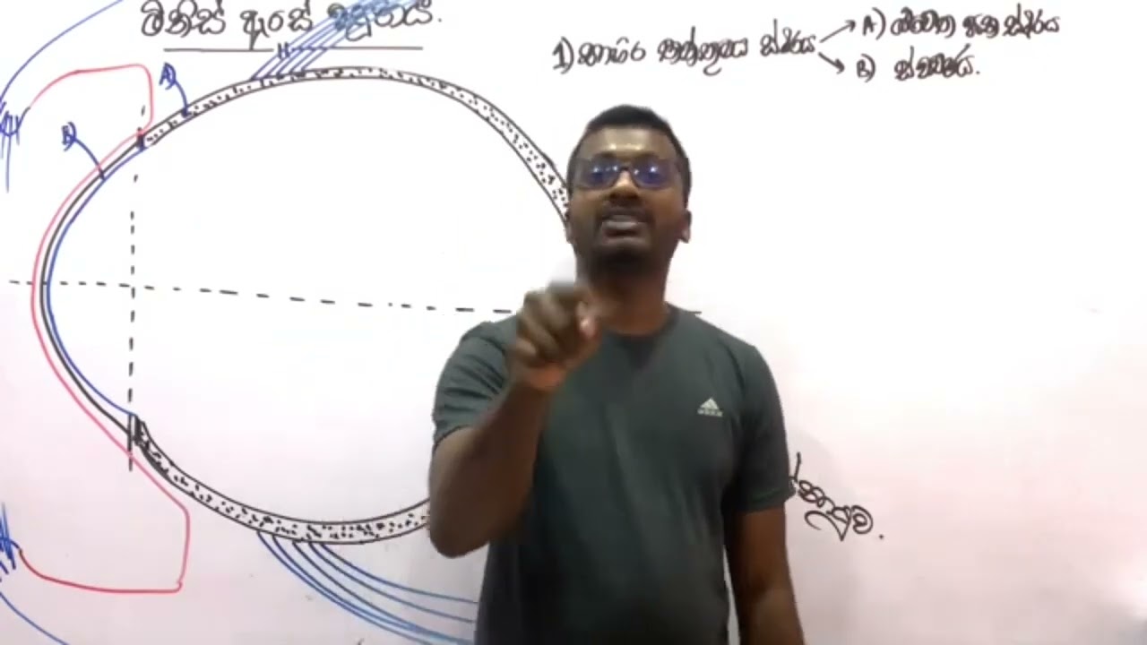 මිනිස් ඇසක අසිරිය/human eye