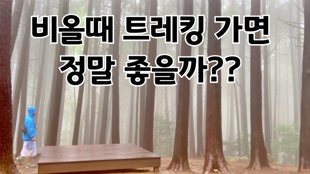 비올때 산에 가면 어떨까? | 우중산행에 필요한 용품들 | 우중 트레킹 가기 전 꼭 한번 보고 가세요