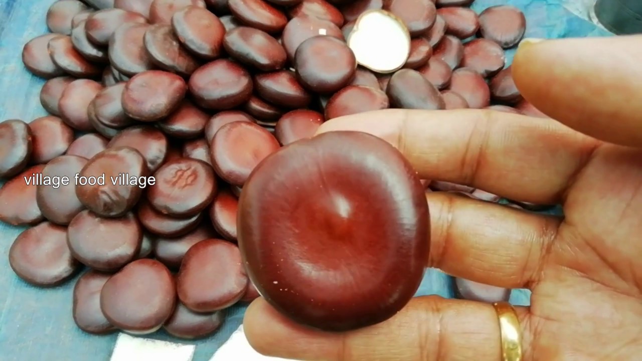 Never Seen Before - Forest Tamarind Uses - Ultimate Talent By Poor People