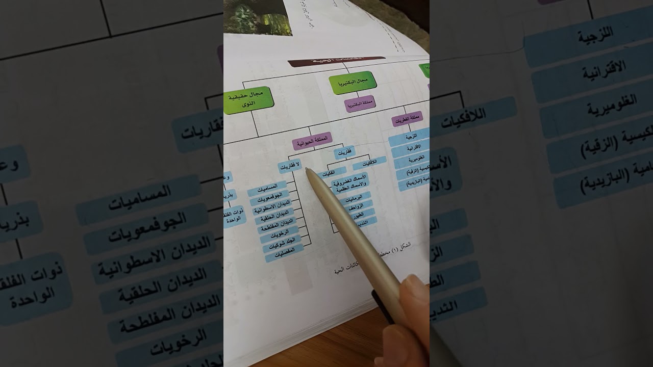 تصنيف الكائنات الحية للصف العاشر العلوم الحياتية.