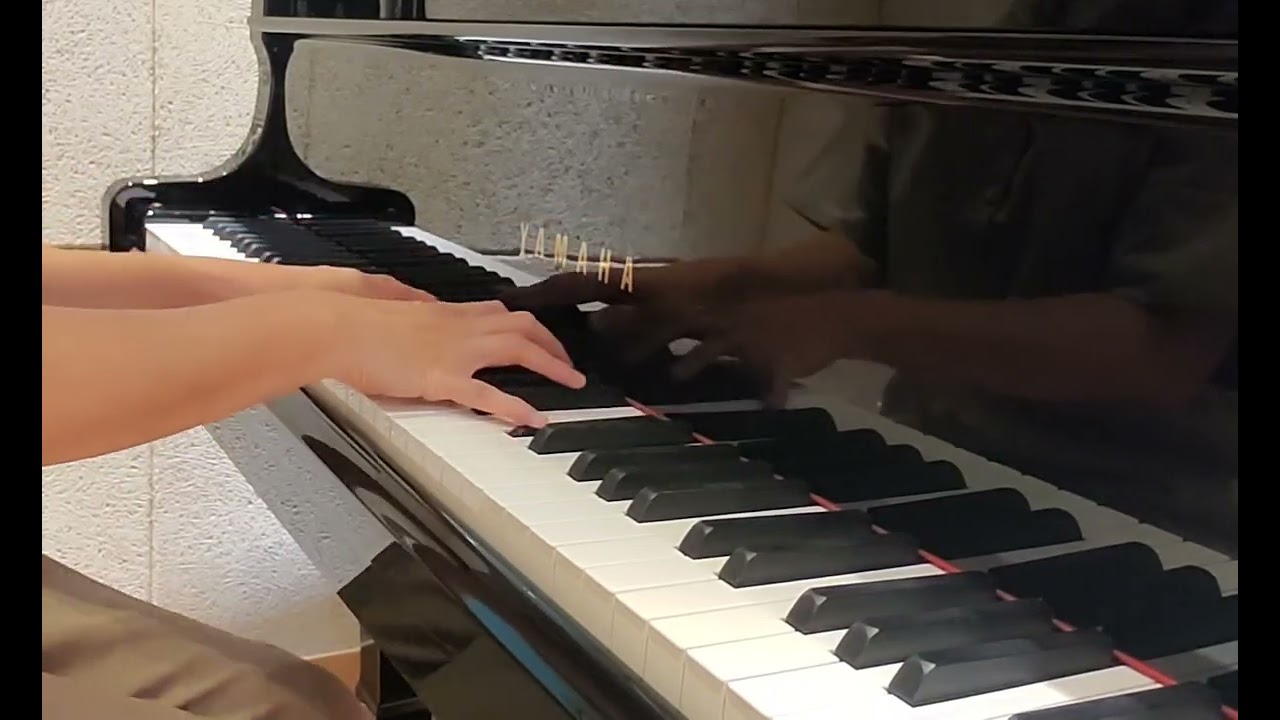 Liszt - Schumann 'Widmung' | 리스트 '헌정'