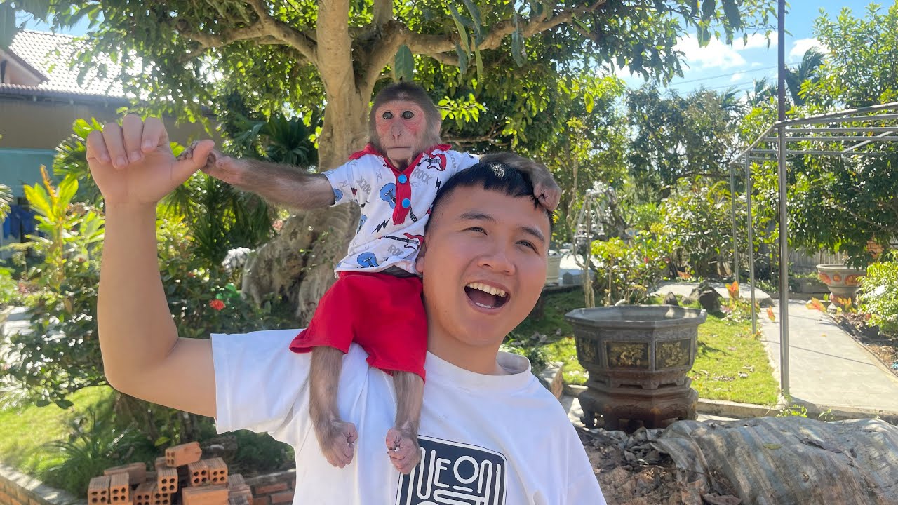 A Normal Morning with Cubis Caring for the Garden and Enjoying Fruit ☀️🥬