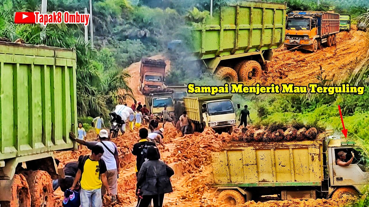 Meretas Impian|| Driver Truck Terpaksa Off-road Habis-habisan Tak Ingin Membusuk Di Jalan
