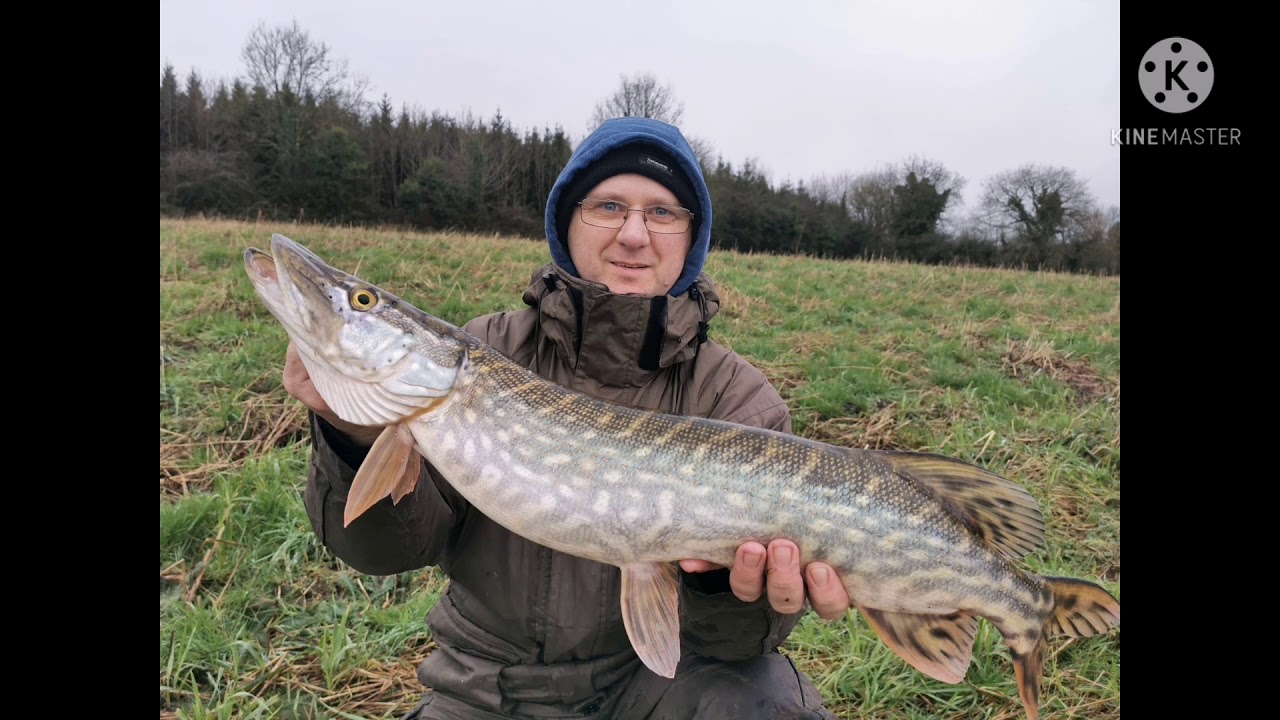 January 2021  Pike fishing with deadbait