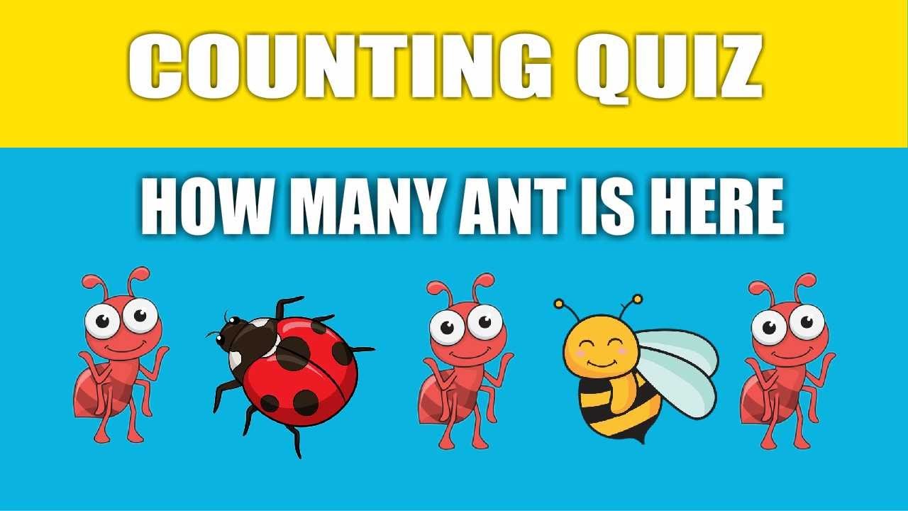 How Many? Counting Quiz - Game for Kids Numbers Kindergarten Preschoolers - Mathematics