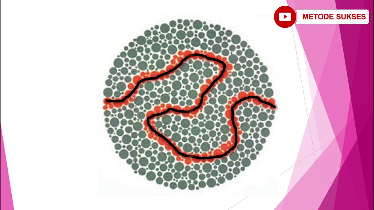 SOAL ACAK TES BUTA WARNA 38 PLATE ( रैंडम समस्या अंधा रंग टेस्ट 38 प्लेट )