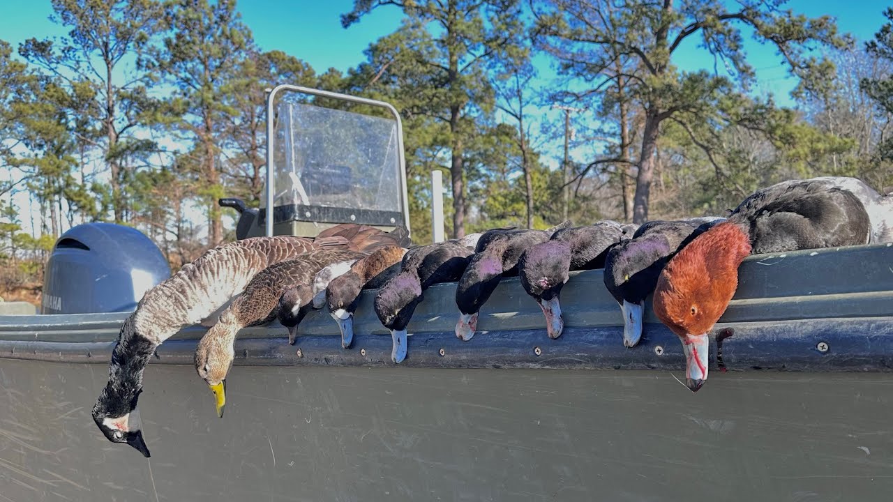 OBX Waterfowl Trip ‘25