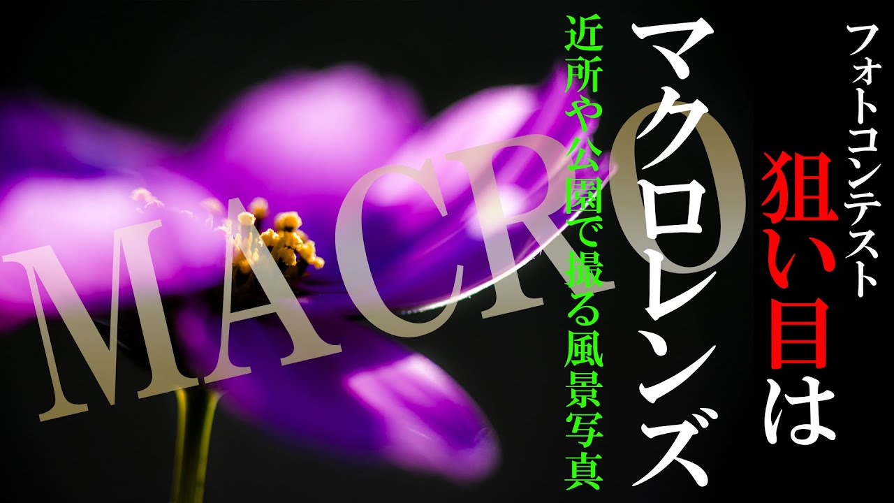【プロの解説！近所で撮る風景写真でフォトコンテスト入賞を狙う！】公園ネイチャー！マクロレンズ編 +レタッチ