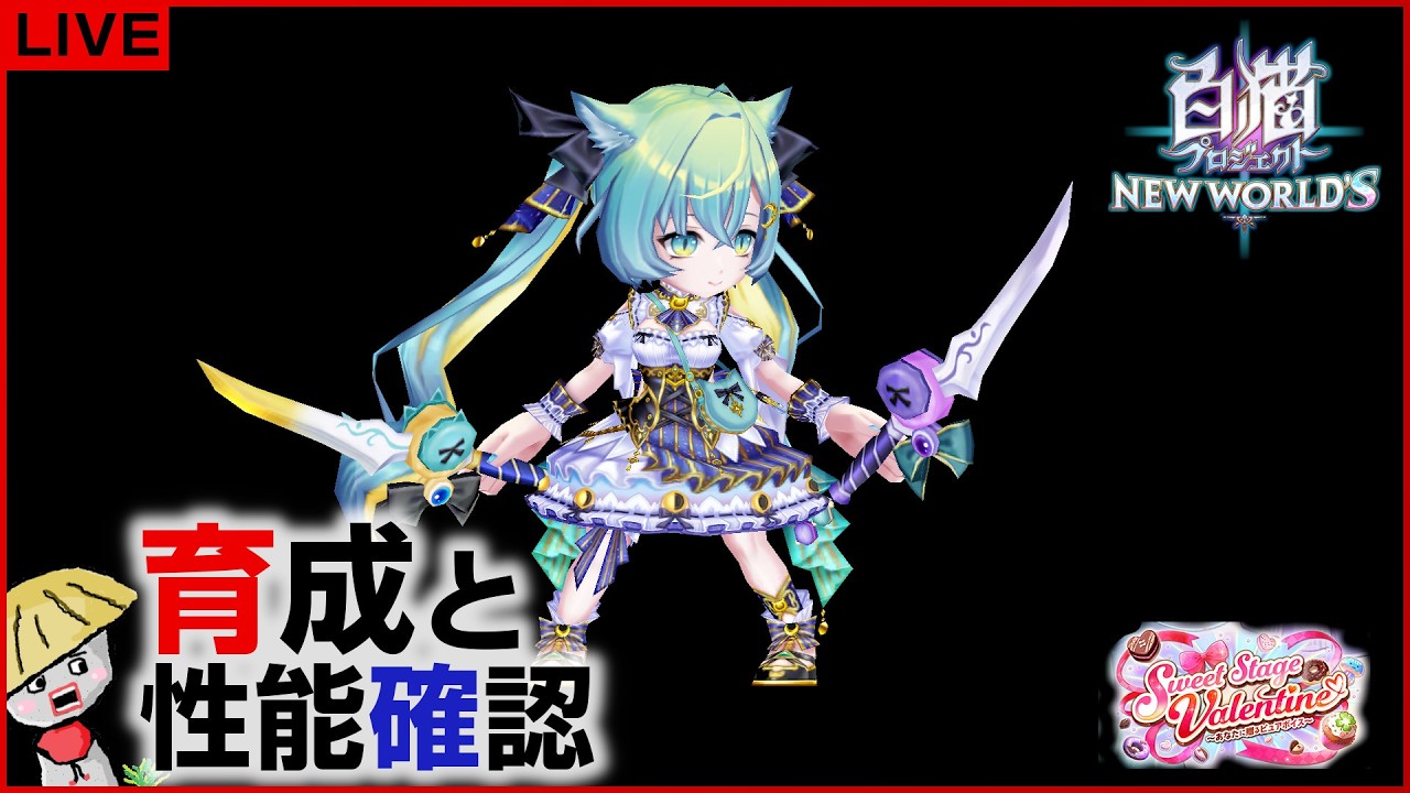 白猫【ライブ配信】バレンタイン2026 キャラの育成＆性能確認【Sweet Stage Valentine】