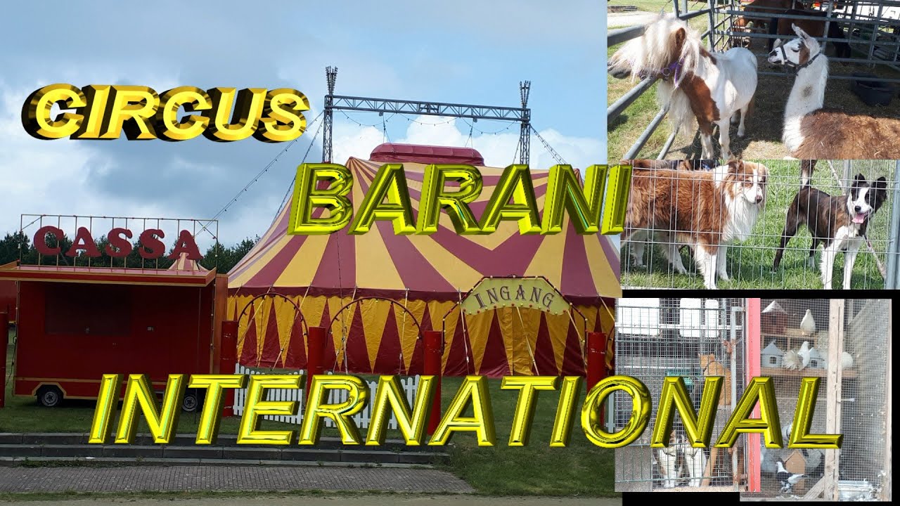 OPBOUW CIRCUS BARANI INTERNATIONAL IN BERGEN OP ZOOM 2021  #pascalboz #CIRCUS