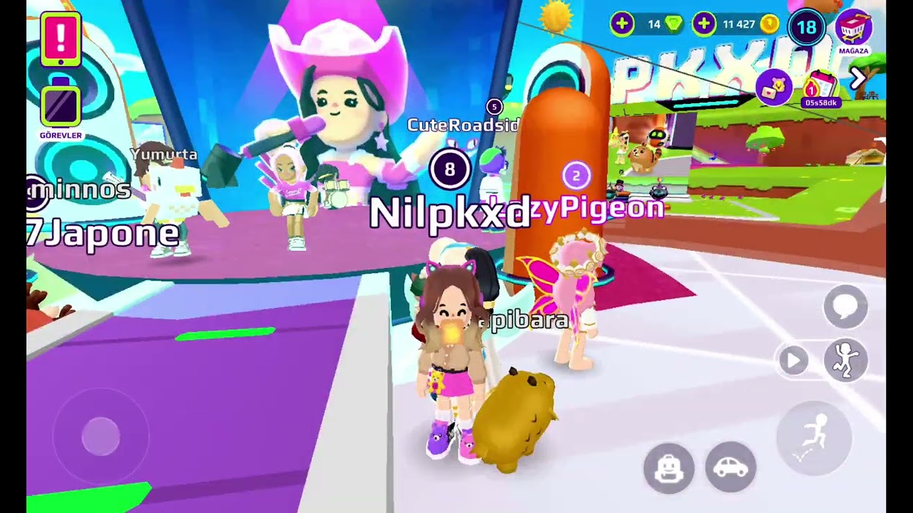 Serena serenata ın konserine arkadaşımşla birlikte gittim