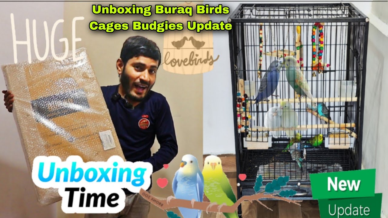 Unboxing Birds Big Cage , Buraq Pets Birds Cage 30 inches Big size | My Budgies Update