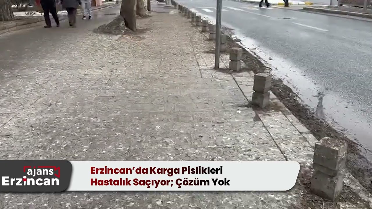 Erzincan’da Karga Pislikleri Hastalık Saçıyor; Çözüm Yok