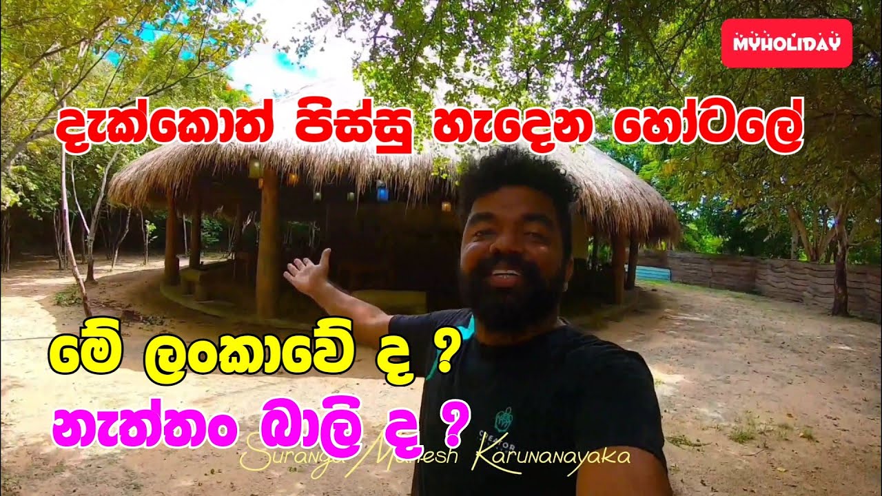 දැක්කොත් පිස්සුම හැදෙන සුපිරිම Hotel එකක් බාලි ගියා වගේ | Pasikuda beach | Hotel review