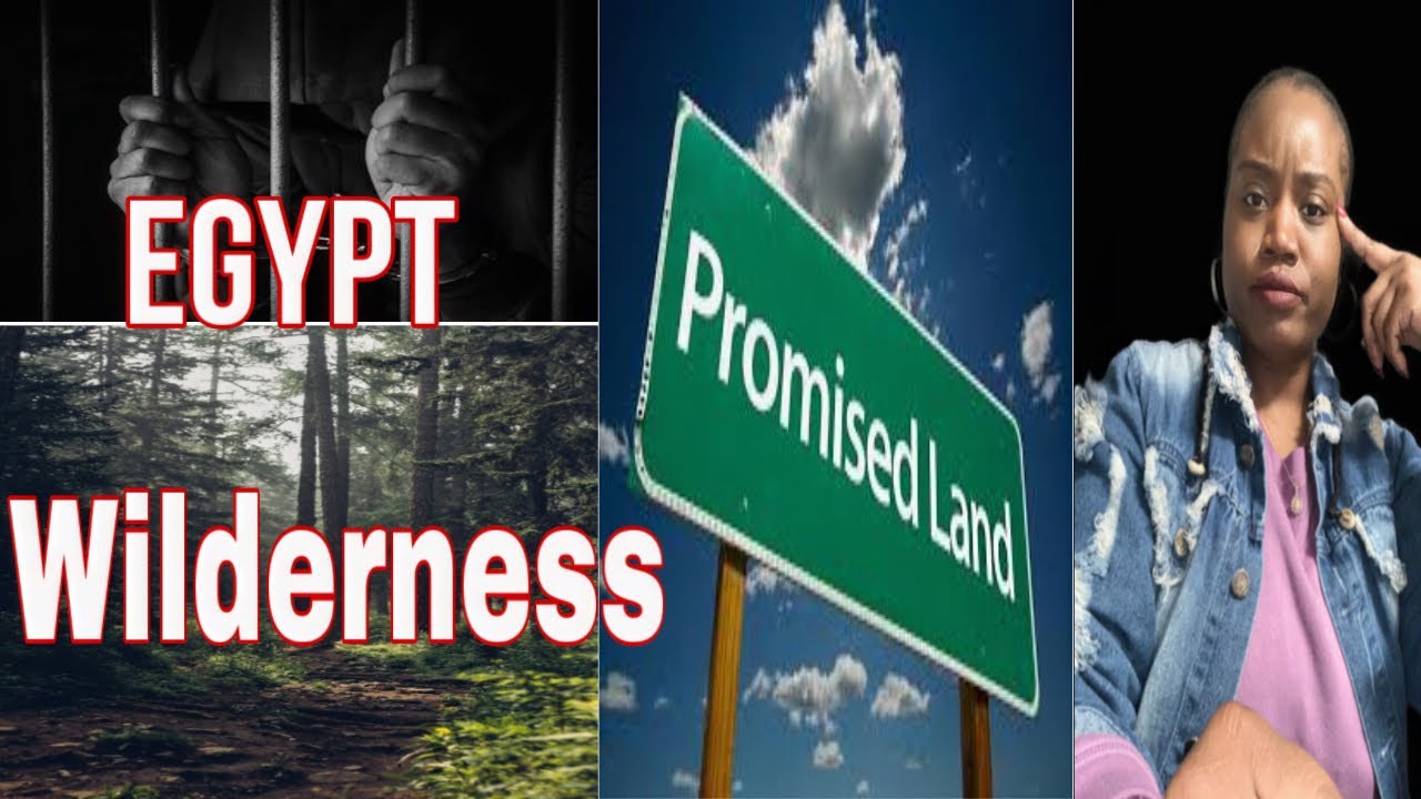 Are you in Egypt, The Wilderness OR The Promise Land⁉️#chosenones #wilderness #godsplan #freedom