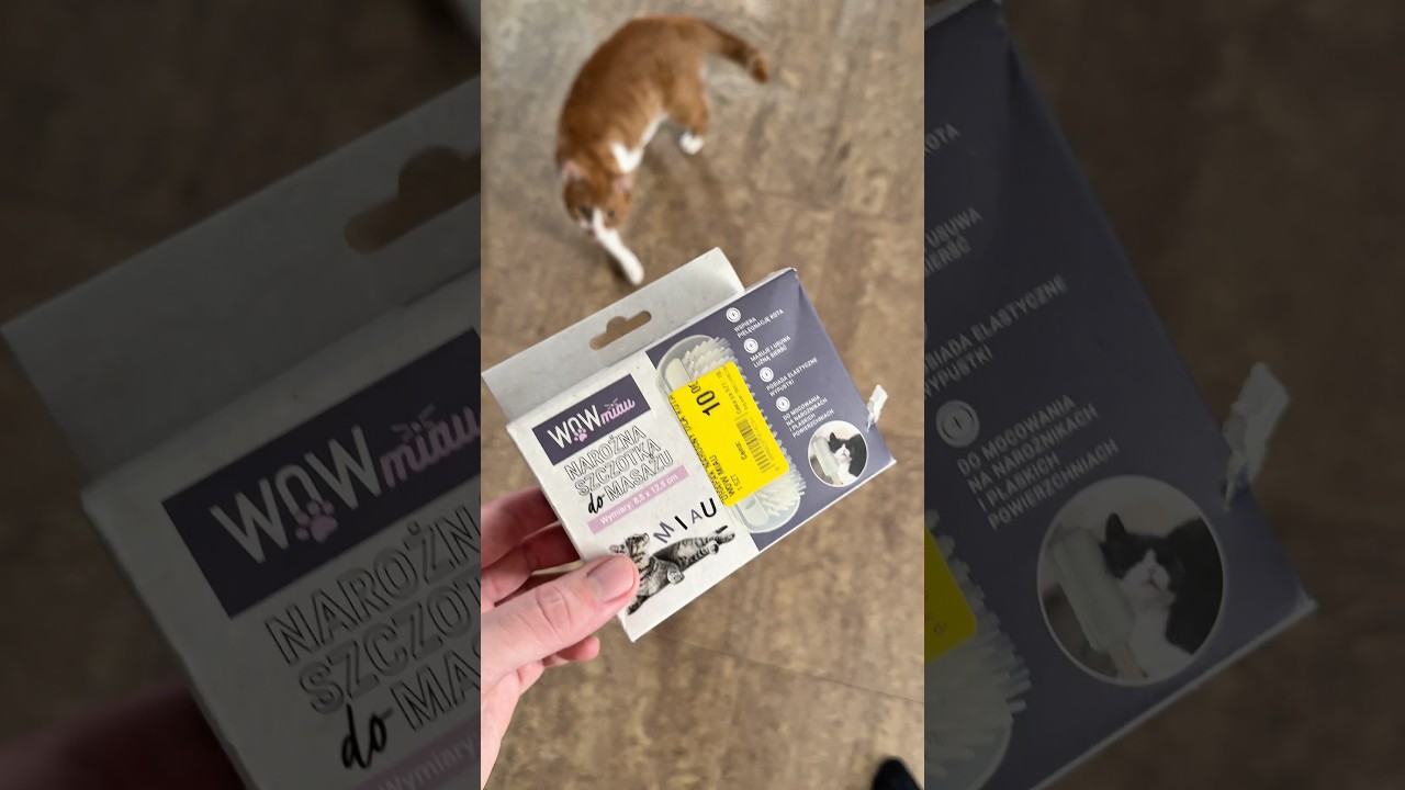 Moje koty przez to oszalały!🐱🍃