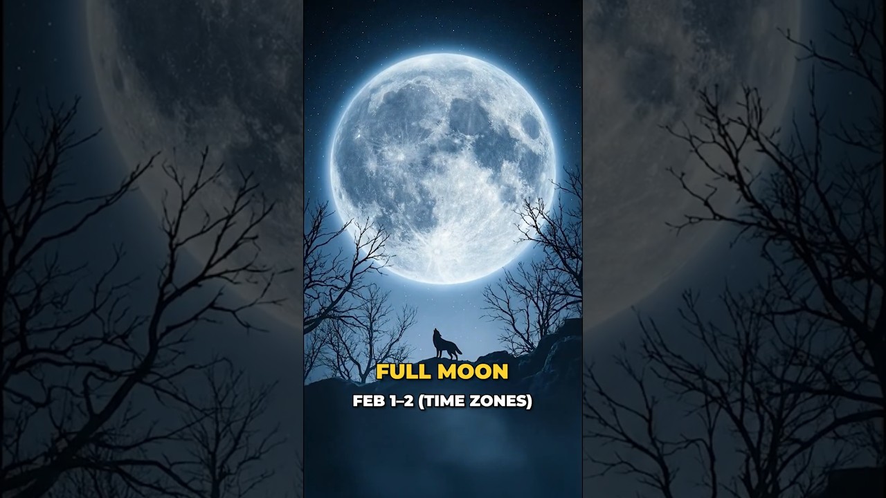 February 2026: Ring of Fire Eclipse and Planet Parade