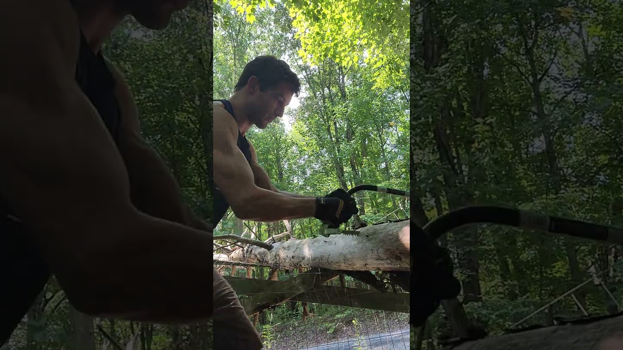 Cutting an entire tree with a Bow Saw: Demo and Review #bowsaw #bowsaws #firewood #lumberjack