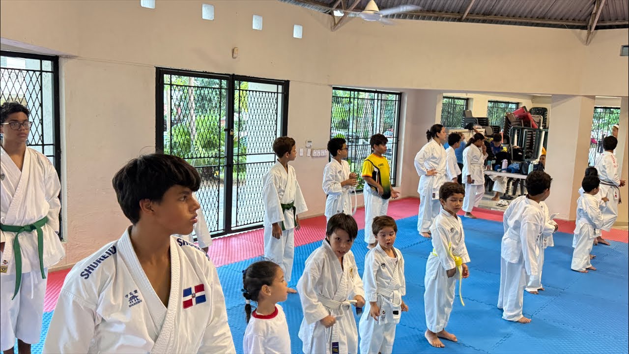Live-日本空手道井上派糸東流慶心会-Japan Karate-do Inoue-ha Shito-ryu Keishin-kai-By Shihan Julio Martinez #karate