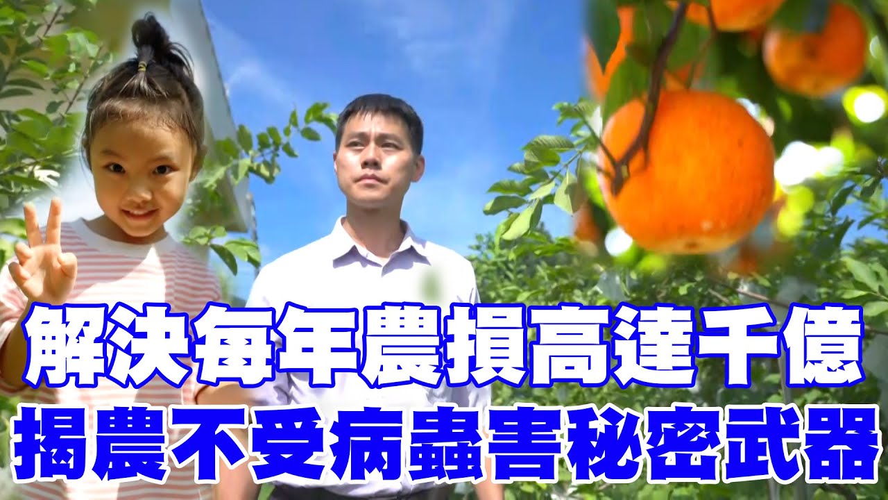 非化學農藥翻轉農業！揭密農民不受病蟲害秘密武器？擁碩士背景及半導體經歷斥資打造