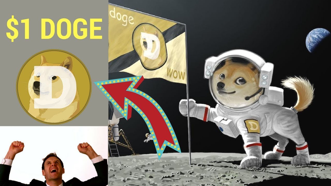DOGECOIN TO $1 (Is It Even Possible?)