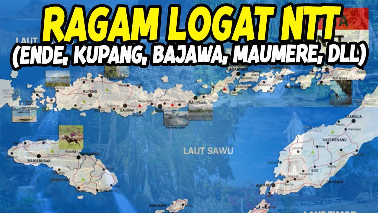 WARNA-WARNI LOGAT NTT YANG UNIK (KUPANG, MANGGARAI, BAJAWA, ENDE, DLL) ‼️