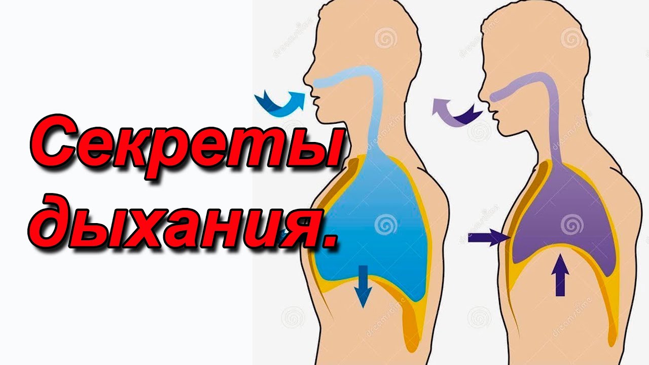 Эффект вериго бора.Зачем он нужен телу.
