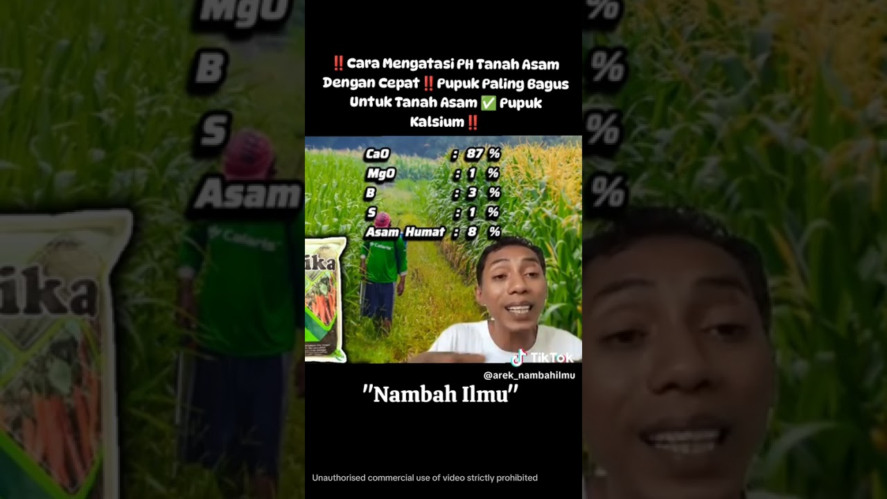 Cara atasi ph tanah asam.