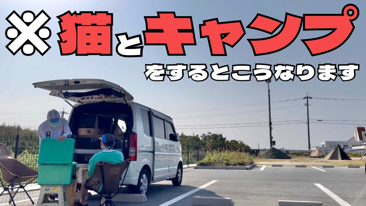 【猫と車中泊】山口/無料のキャンプ場で猫と過ごすリアルをご覧ください