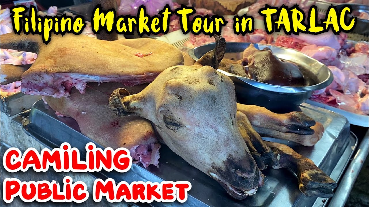 Life at a Filipino Market in CAMILING TARLAC | Camiling Public Market TOUR - Tarlac, Philippines