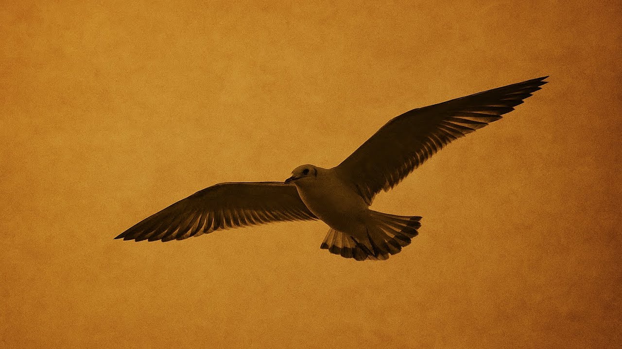 🕊️ LA LIBERTÀ NON SI COMPRA 