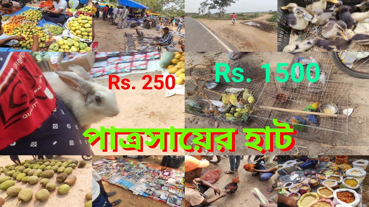 বাঁকুড়া পাত্রসায়ের হাট // 2023 // Bankura Patrasayer hat