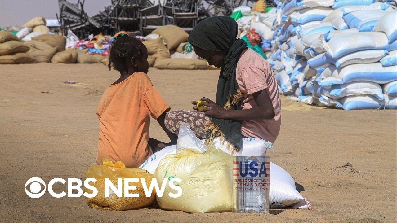 Systems to sustain life in Sudan 