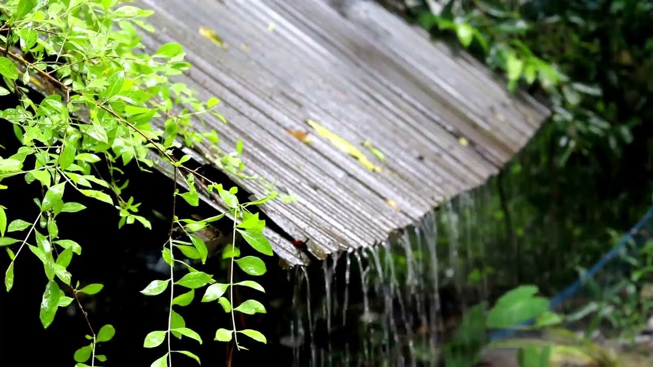 (Relaxing)เสียงฝนตก เสียงธรรมชาติ #1