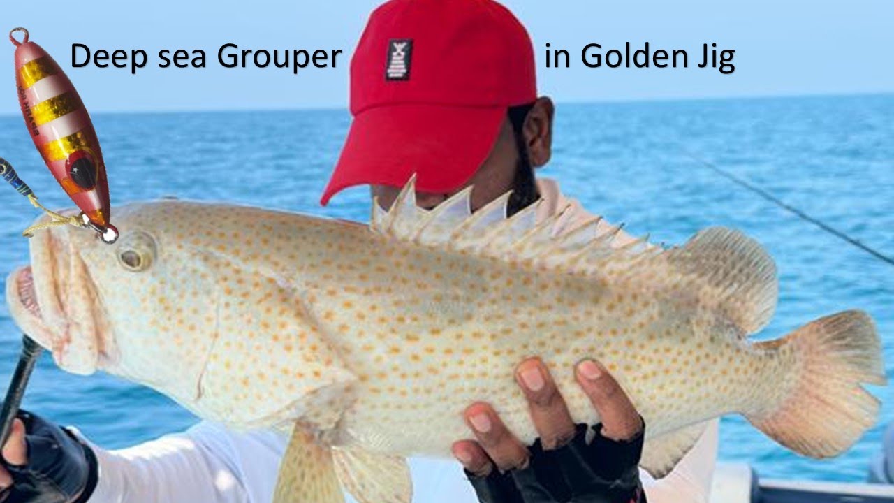Deep Sea Fishing For Hamour | Fishing in AbuDhabi | UAE | ArchAngler