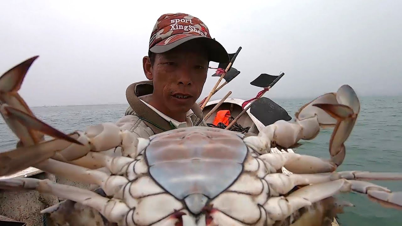 阿雄夫妇出海放渔网，抓到这么大只梭子蟹，这些收获卖了一千多块