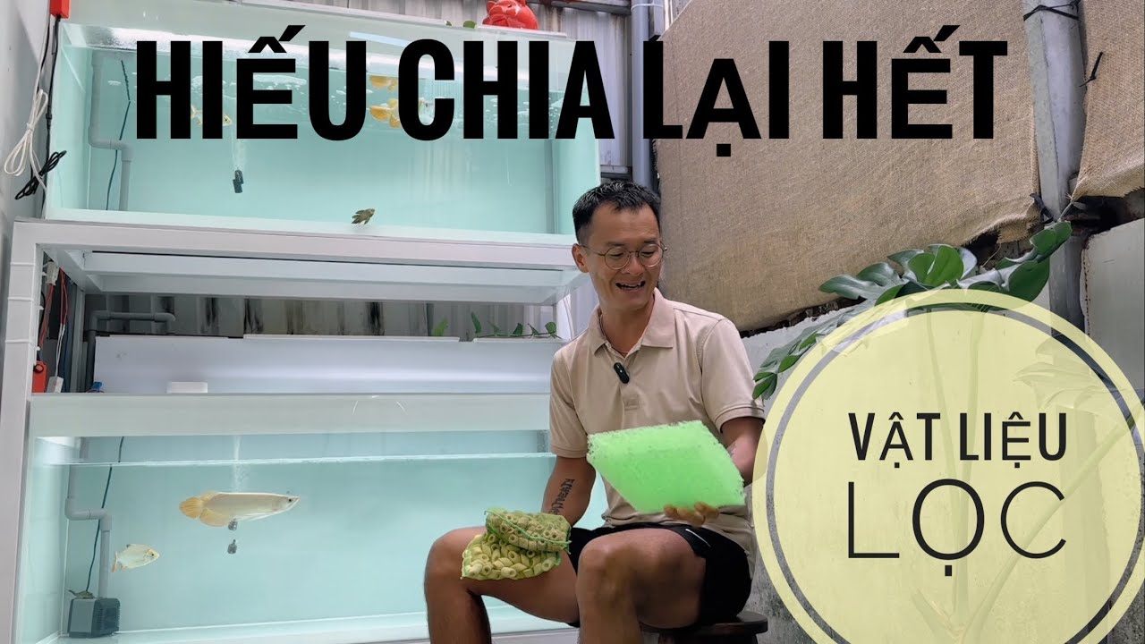 Huyết Long Phông Trắng - nuôi cá không VẬT LIỆU LỌC - PHẦN 1