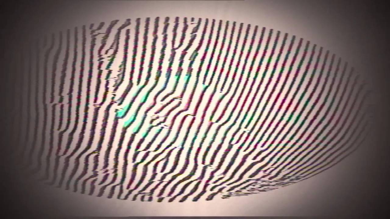 Venetian Snares - Everything About You Is Special