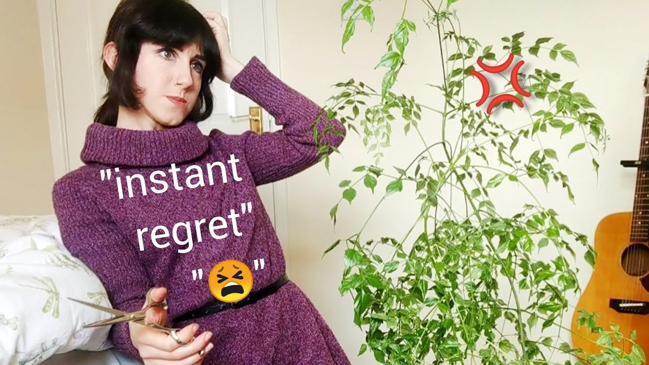 China Doll Plant Gets A Lockdown Haircut | Houseplant Update