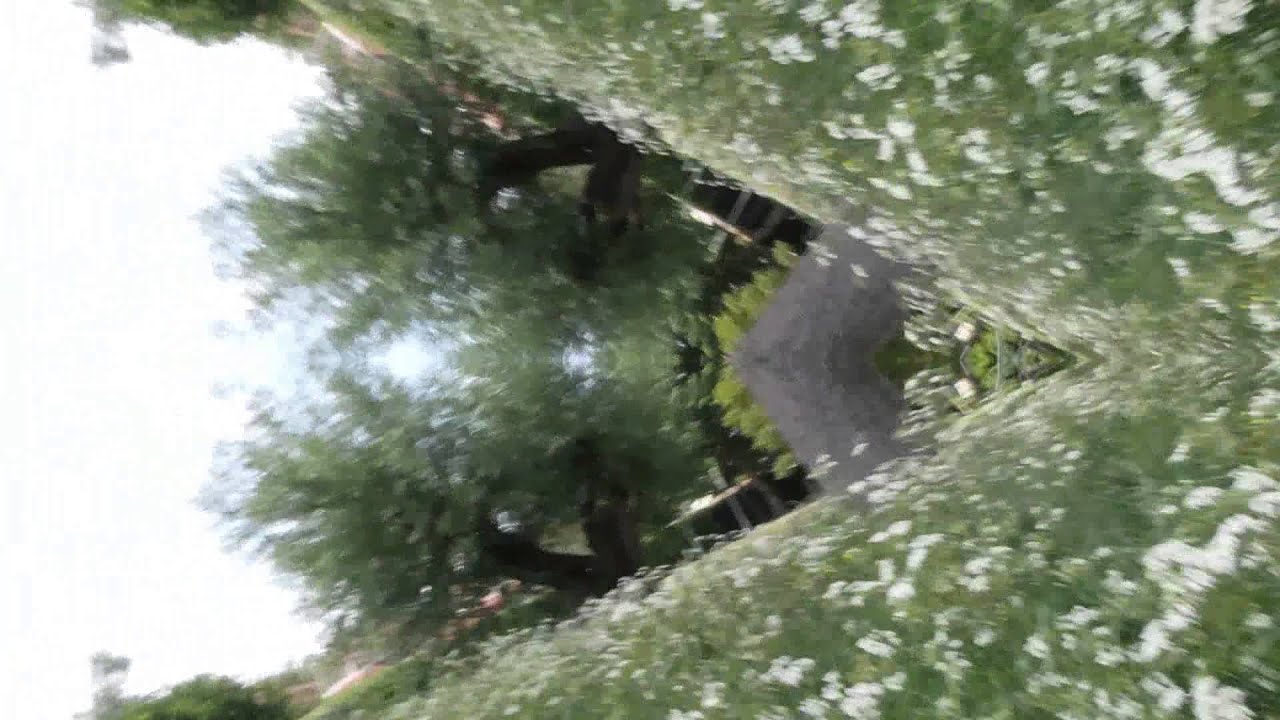 Luchtbrug Spiegeling
