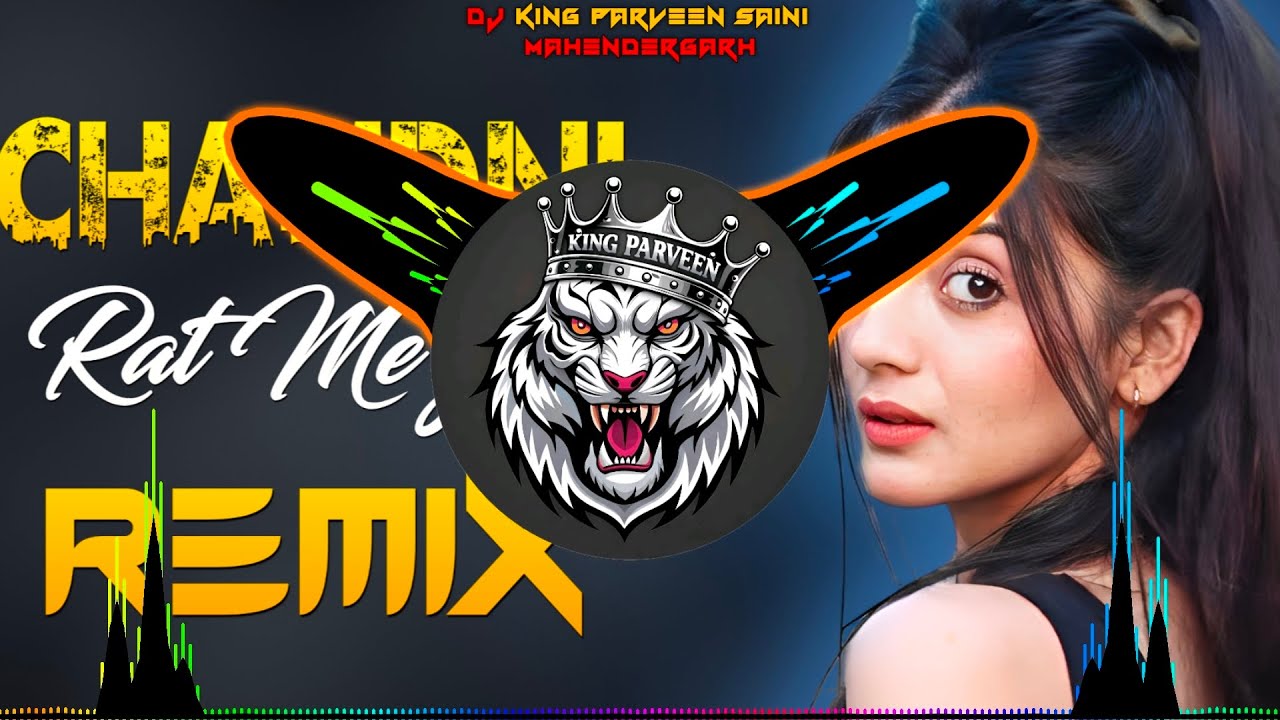 Chandni Raat Me Goli Chala Gaya Dj Remix | High Bass Vibration Reggaeton Mix | Dj Parveen Saini 