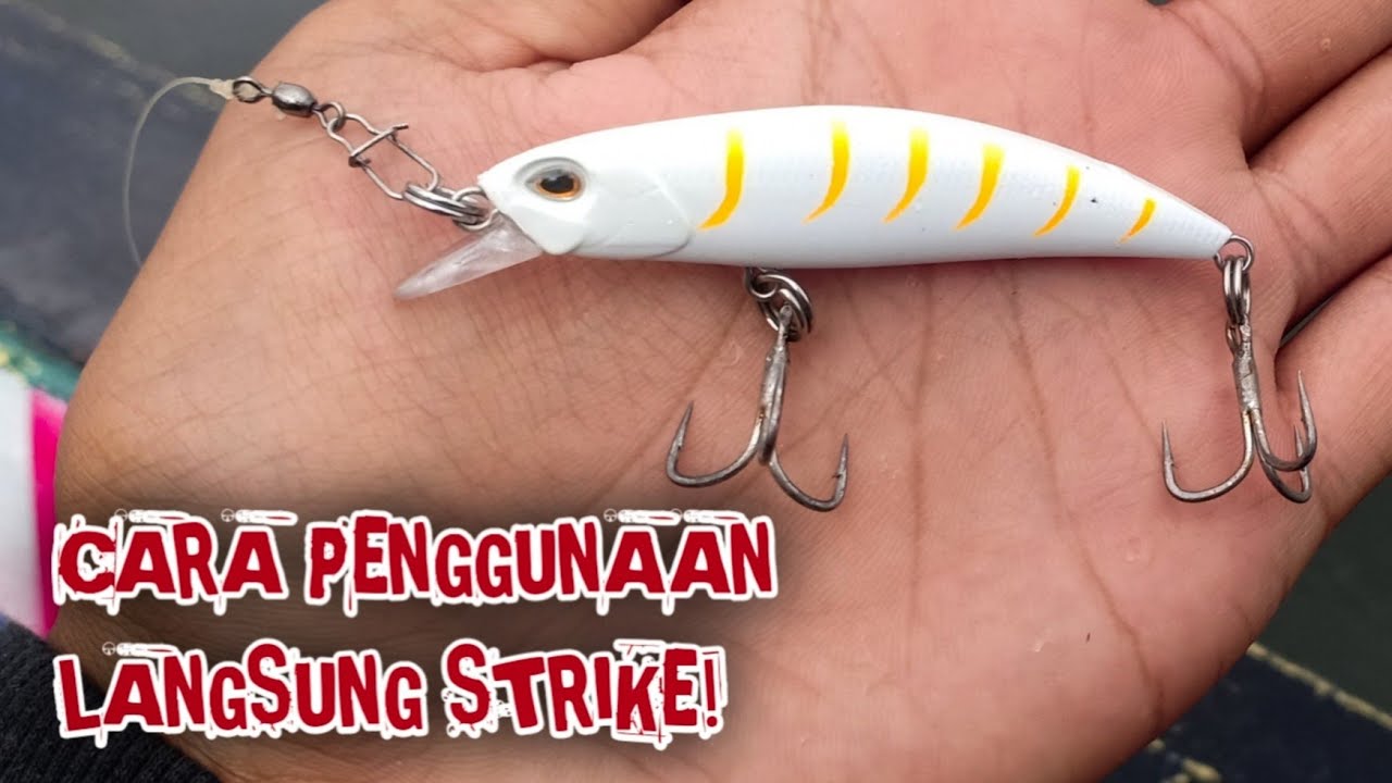 4 CARA MENGGUNAKAN LURE SINKING | CASTING HAMPALA SAGULING